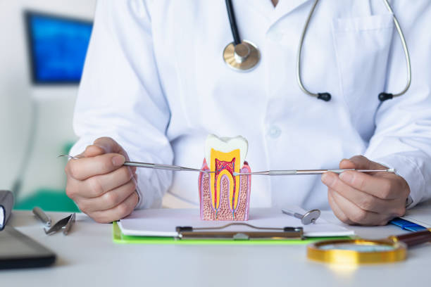 Best Urgent Tooth Repair  in New Tazewell, TN